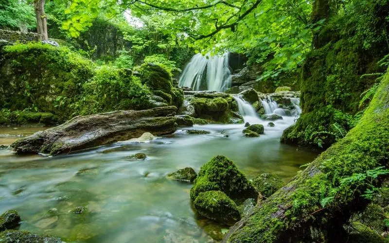 无人化信息化高端